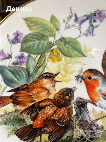 Чинията е много красива♥️ Колекционерска порцеланова чиния от серията „Hungrige Rotkehlchen“ (Гладни, снимка 9 - Други - 54117601