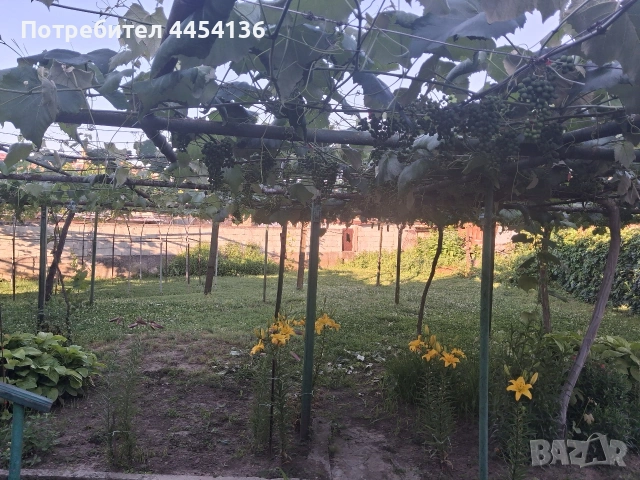 Продавам къща в село Пчелник, обл. Варна, снимка 5 - Къщи - 55022995