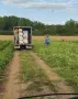 Продавам Дини и Пъпеши на Едро!, снимка 10