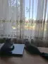 Британски Късокосмести котета, снимка 5