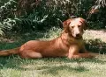 Момче и  момиче, снимка 11