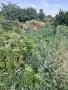 Продава се дворно място в село ситово област силистра с ток и вода близо до главен път , снимка 2