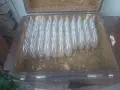 стари крушки миньонки, снимка 1
