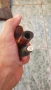 Лула Mairano, снимка 9