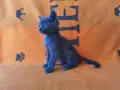 Сиво руско коте (момиче), снимка 3