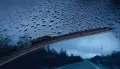 Разтворими, концентрирани таблетки за чистачки на кола, снимка 2