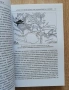 Готи и гети, книга 1 и 2, Асен Чилингиров, снимка 8