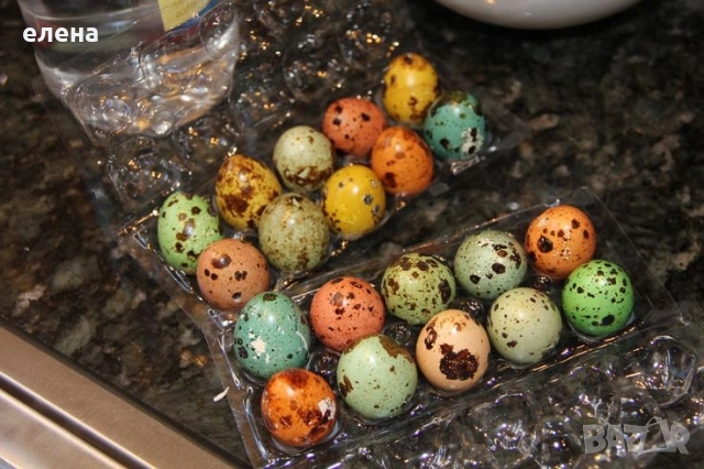 Пъдпъдъчи яйца 