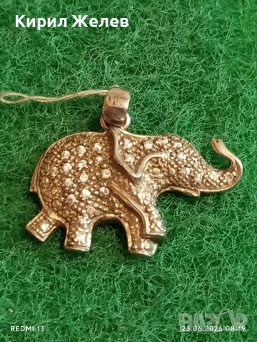 Сребърен медальон с формата на слон 🐘 и кристали амулет за здраве 14154