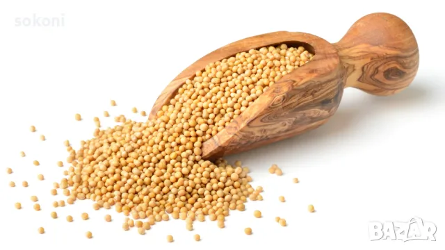 Mustard Seeds Yellow / Жълто Синапено Семе 100гр
