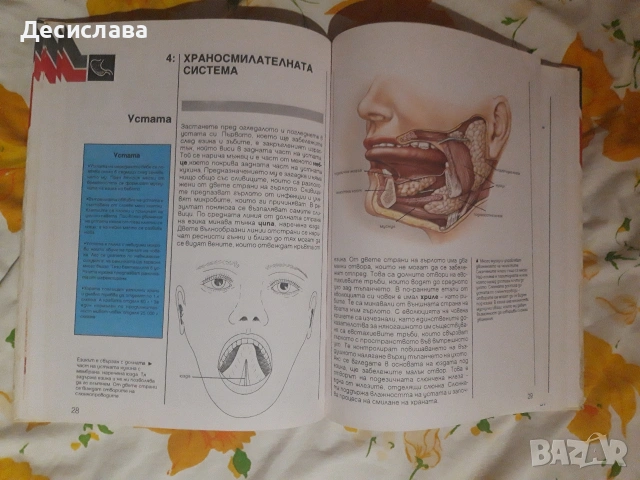 Енциклопедия, снимка 3 - Енциклопедии, справочници - 54874783