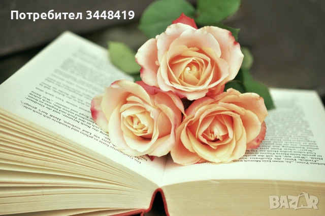 Онлайн уроци по английски език 