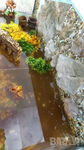 Аквариум за рибки , снимка 4 - Аквариуми - 54006395