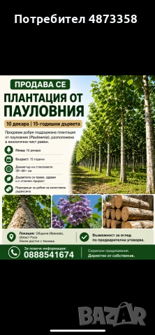 Земеделска земя със статут плантация за дерводобив