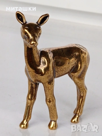 Сърна, снимка 6 - Колекции - 54357892