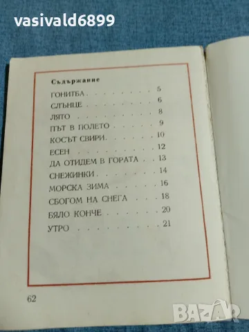 Илия Буржев - Момче с делфин , снимка 5 - Детски книжки - 55650458