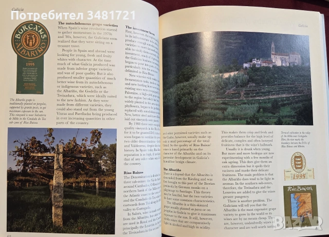 Вината на Испания - илюстриран справочник / A Traveller's Wine Guide to Spain, снимка 7 - Кулинария - 55064928