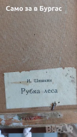 картина"сеч в гората" 1966, снимка 3 - Картини - 55351902