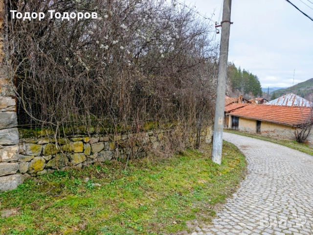 Парцел в с. Дивля, област Перник, снимка 9 - Парцели - 54305864