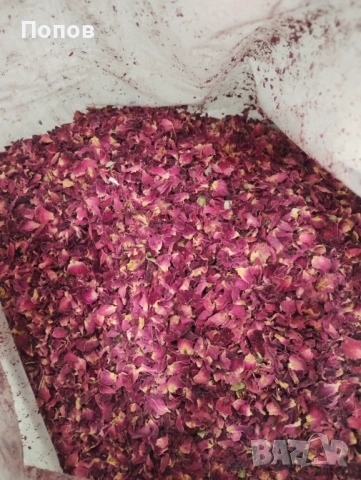 Сушен Розов цвят венчелистче / Rosa centifolia / 