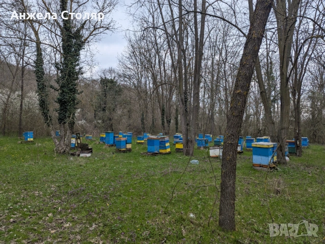Продава се напълно оборудван пчелин, снимка 4 - За пчели - 54099773