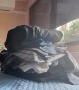 Мъжки дрехи размер 4XL, снимка 3