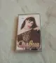 Силвия - Страхотна жена, снимка 1