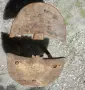 Трикраки стари столчета и маси, стол, маса паралия, синия, снимка 2