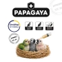 PAPAGAYA OrniVital Parrot Control - Hand Feeding Храна за ръчно хранене на бебета папагали/големи/, снимка 3