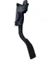 педал на газта 20905700 за Chevrolet Captiva 2.2 VCDi (2012 г.), снимка 1