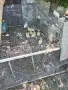 Полета и неми юрдеци, снимка 2