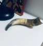 Стар Биволски рог, снимка 3