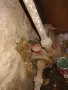 Водна помпа Елпром Троян ВИДА 4, снимка 6