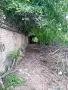 Къща с двор 2,5 декара в село Ресен, снимка 7