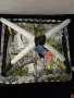 Активна, Образователната гимнастика KikkaBoo - Jungle, снимка 2