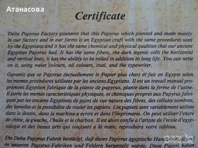 Египетски папирус със сертификат картина, снимка 7 - Картини - 54152541