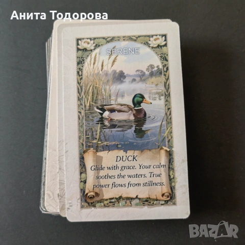 Animal oracle, снимка 4 - Карти за игра - 55068970