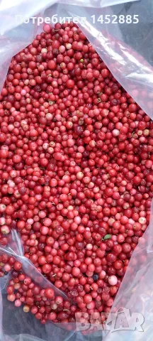 Червена горска боровинка, снимка 2 - Домашни продукти - 55367898