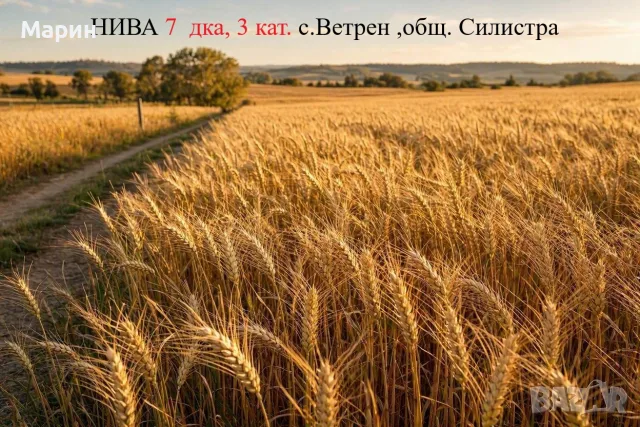 Продавам ЗЕМЕДЕЛСКА ЗЕМЯ с. Ветрен обл. Силистра