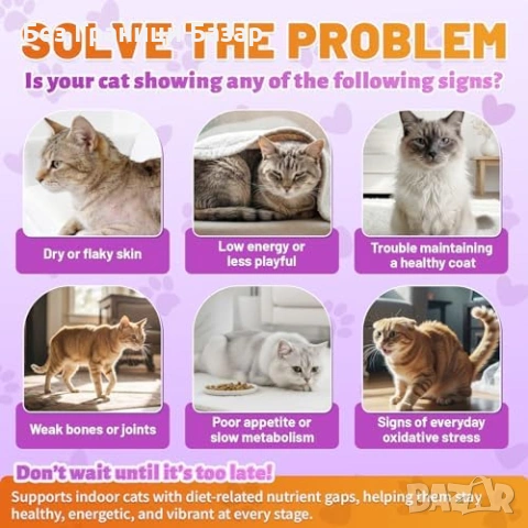 Нови Витамини за котки 15 в 1 с Омега 3 за кожа козина и имунитет 500 хапки пиле , снимка 6 - За котки - 54128971