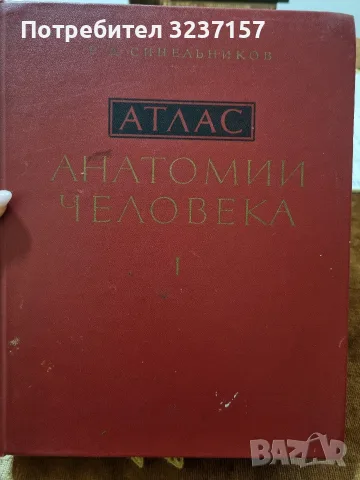 Атлас Анатомии Человека