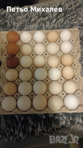 продавам домашни яйца с Кукорево 