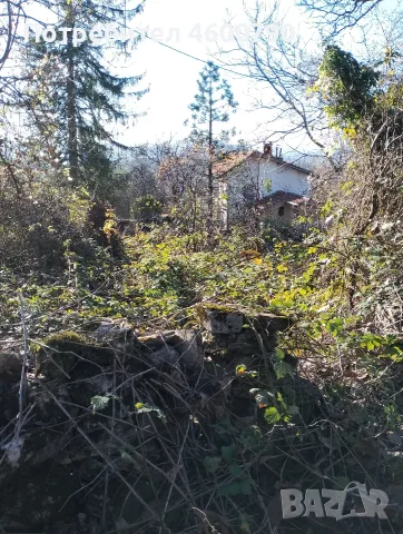 Дворно място в село Кладни дял, кметство Войнежа, община Велико Търново