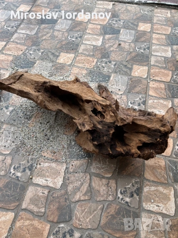 Мангров корен ХХЛ, снимка 4 - Оборудване за аквариуми - 54029892
