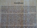 Египетски папирус със сертификат картина, снимка 7