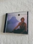 CD диск Mike Oldfield Voyager, снимка 1