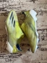 Бутонки Adidas X Ghosted.1 - 43, снимка 2
