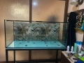 Продавам голям аквариум + стойка + Канистър, снимка 2