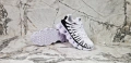 Nike Нови Спортни Мъжки Маратонки Найк с Кутия , снимка 6