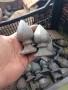 Орнаменти за огради с ковано желязо, снимка 11
